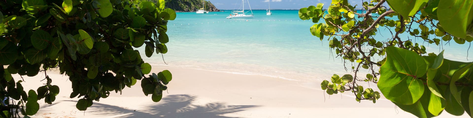 A beach with clear turquoise water, white sand, and lush green foliage.