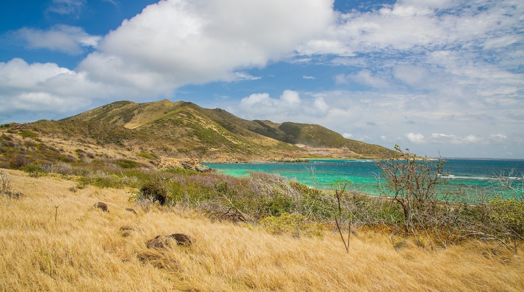 Pinel Island featuring general coastal views