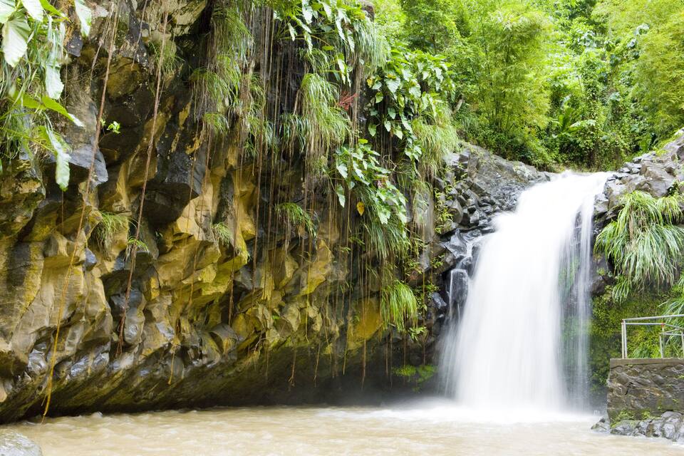 Una cascada que flueix sobre un terreny rocos amb vegetació abundant.