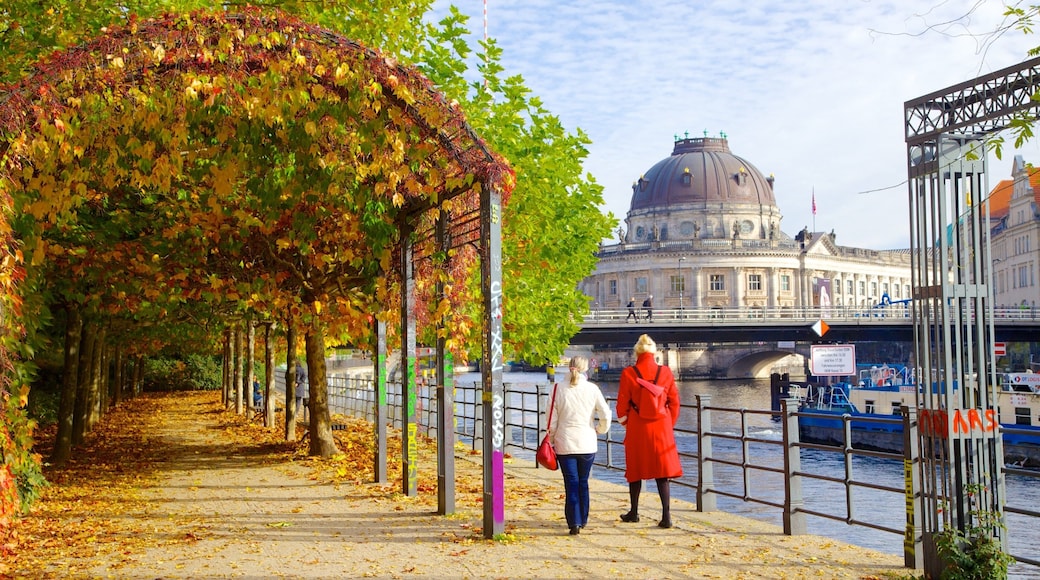 Bode Museum featuring a park, autumn leaves and heritage architecture