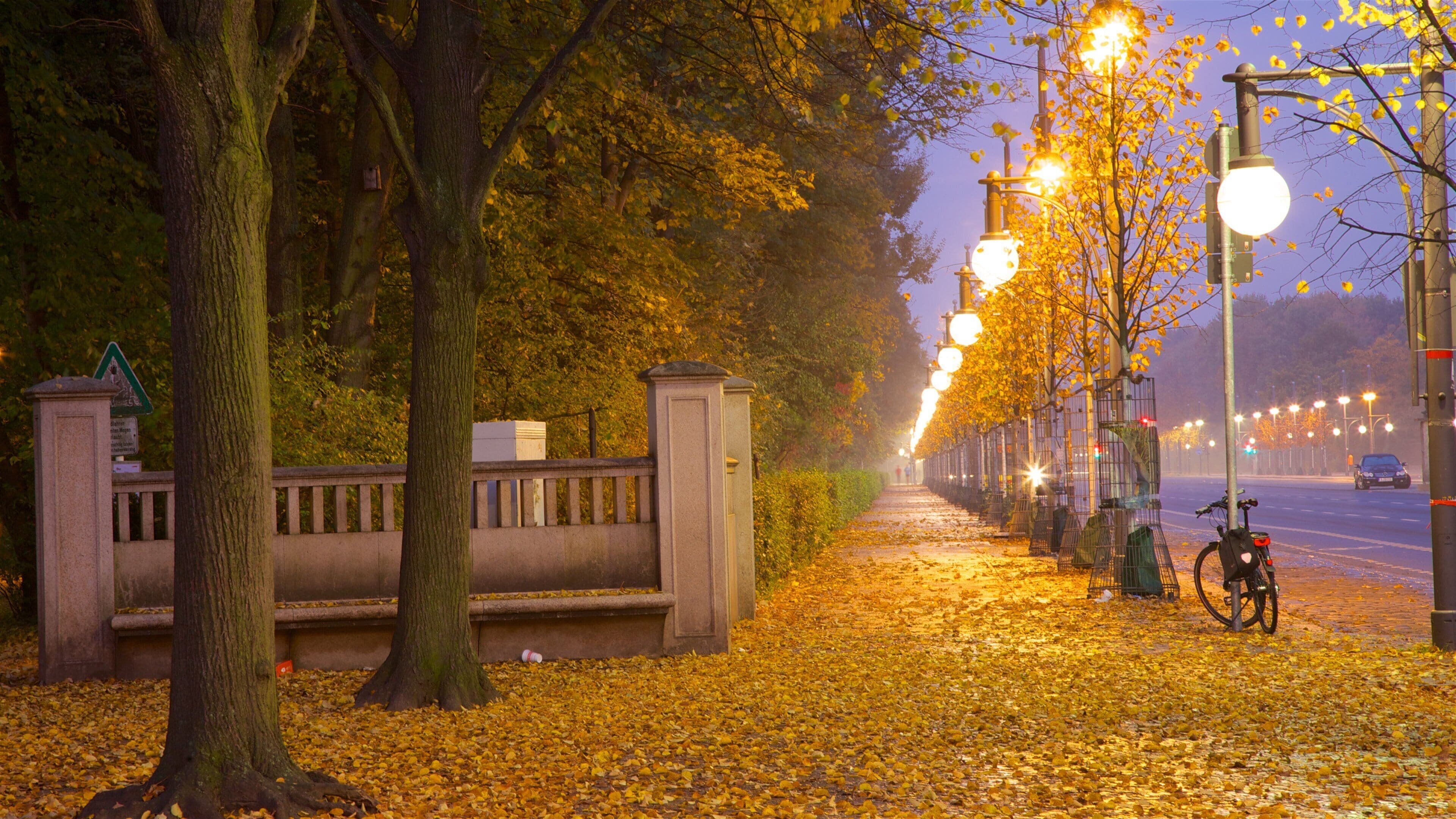Brandenburger Tor som inkluderer nattbilder, gatescener og høstfarger