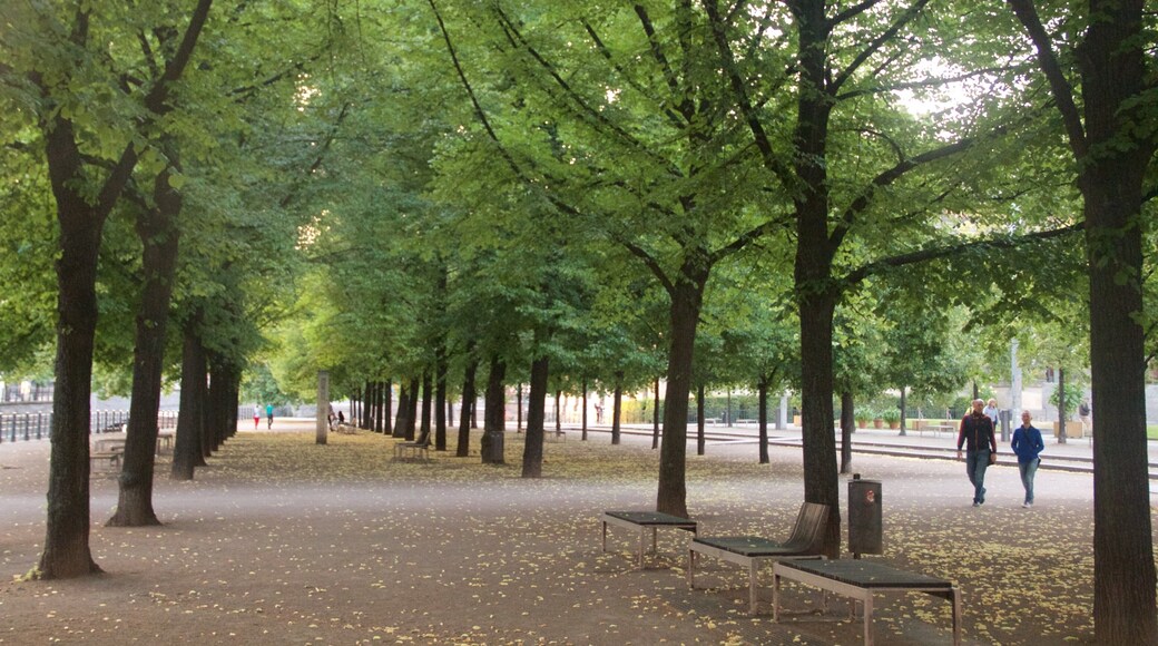 Lustgarten showing a park as well as a couple