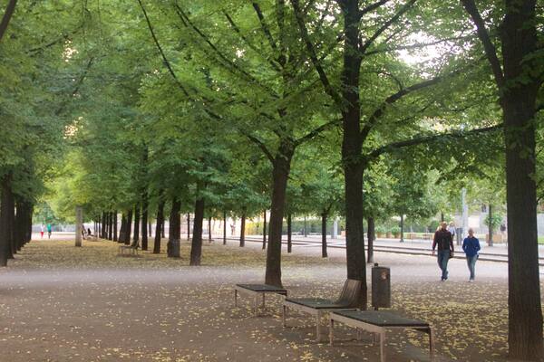 Lustgarten showing a park as well as a couple