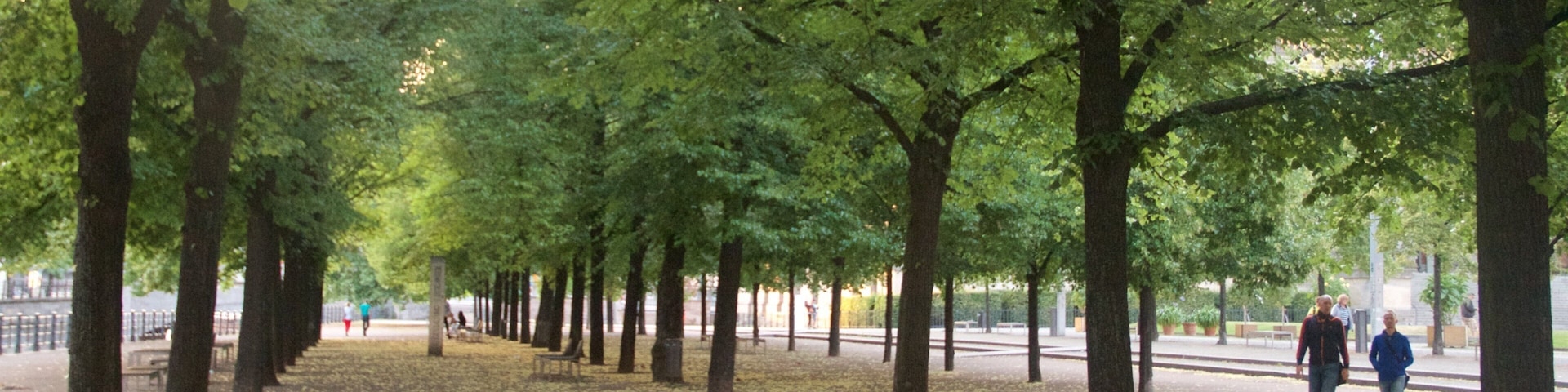 Lustgarten showing a park as well as a couple