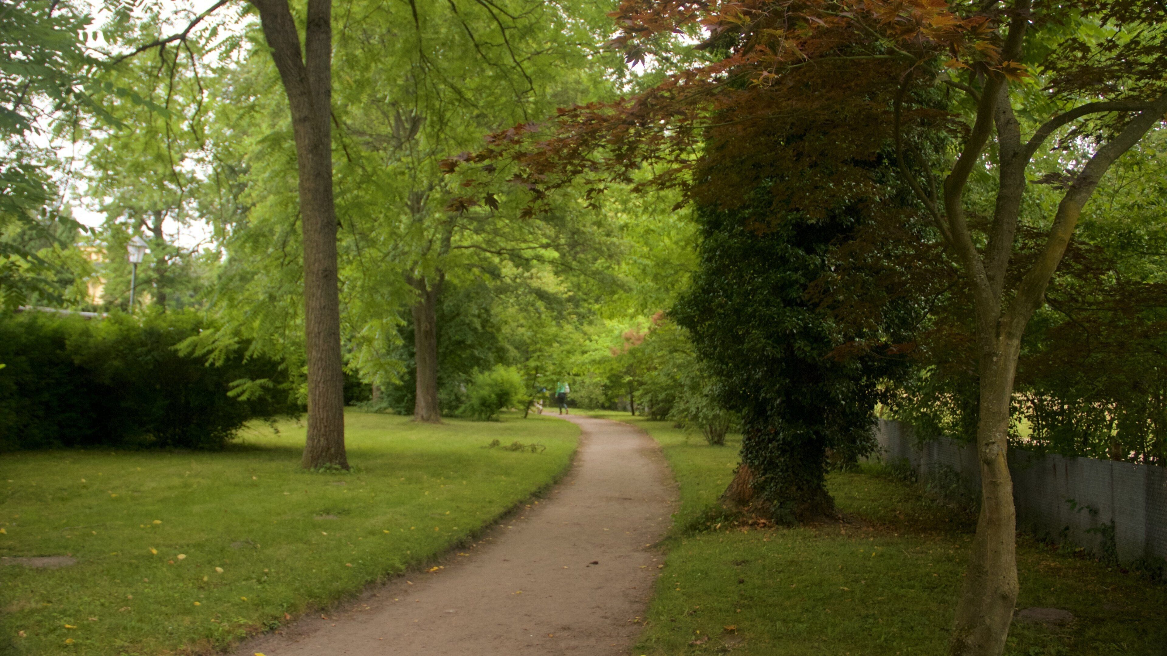 Castelo e Parque de Sanssoucci que inclui um parque