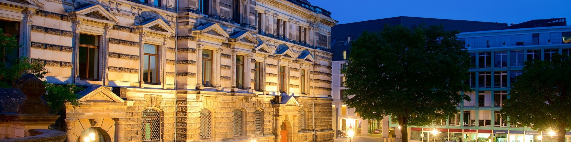 Albertinum which includes night scenes, a park and a city