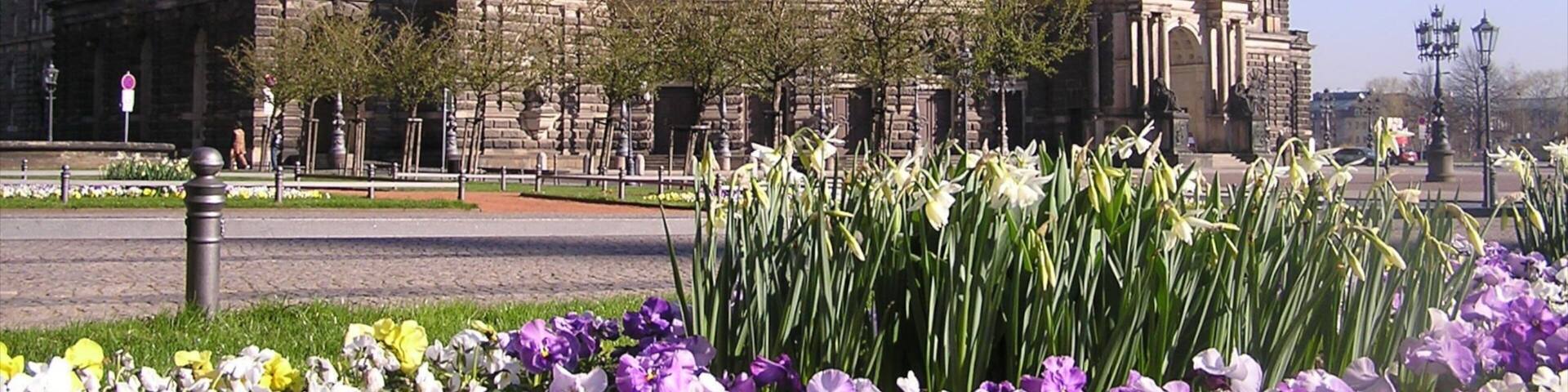 Theater Square featuring flowers, street scenes and heritage elements