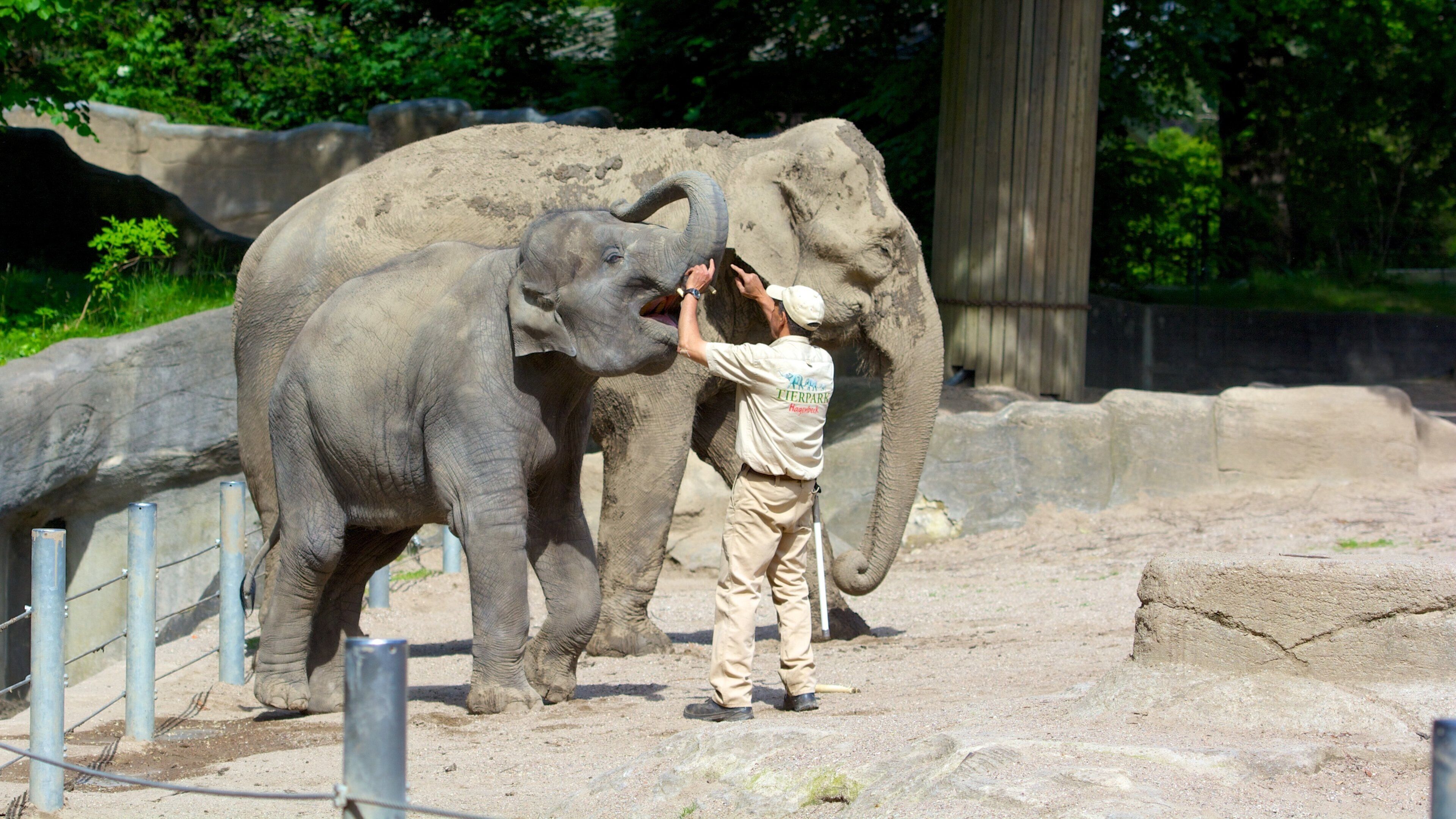 Hagenbeck Zoo og byder på landdyr og dyr fra zoologisk have såvel som en mand