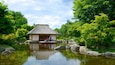 Jardín japonés