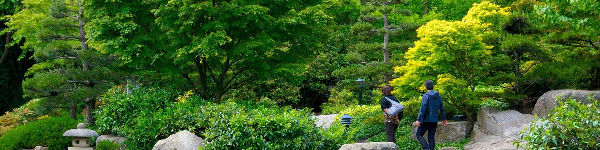 ์ผ๋ณธ ์ ์ ์ ๋ณด์ฌ์ฃผ๋ ์ฐ๋ชป ๊ณผ ์ ์ ๋ฟ๋ง ์๋๋ผ ์ปคํ