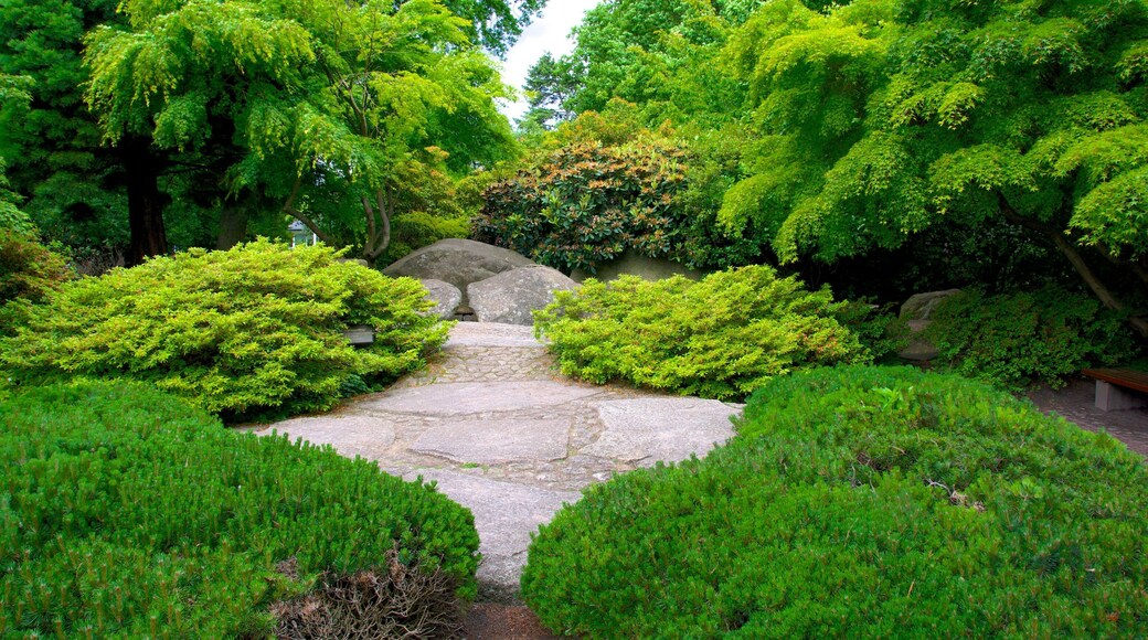 Japanese Garden