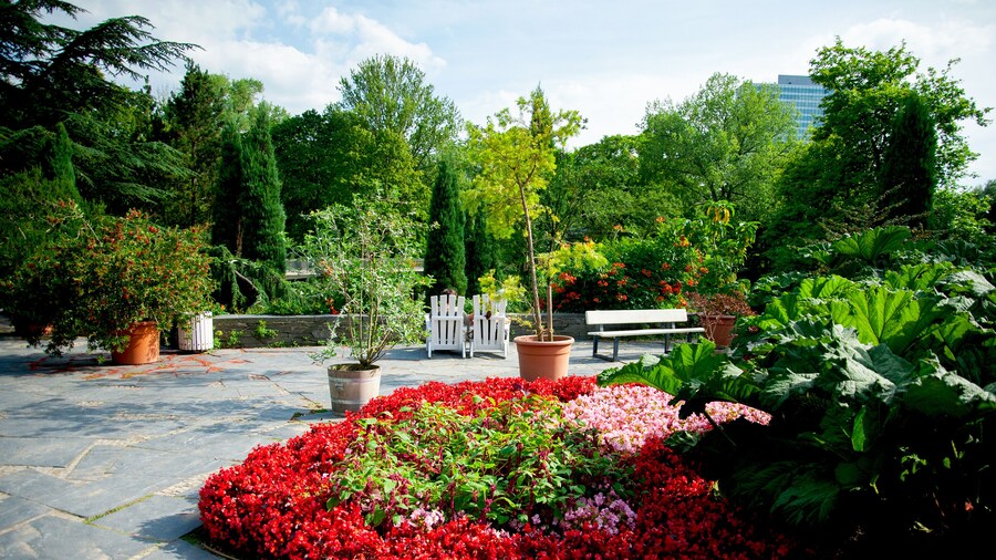 The botanical garden Planten un Blomen Park in sunny summer day, Hamburg, Germany; Shutterstock ID 796265011; purchase_order: Comps; job: ; client: ; other: