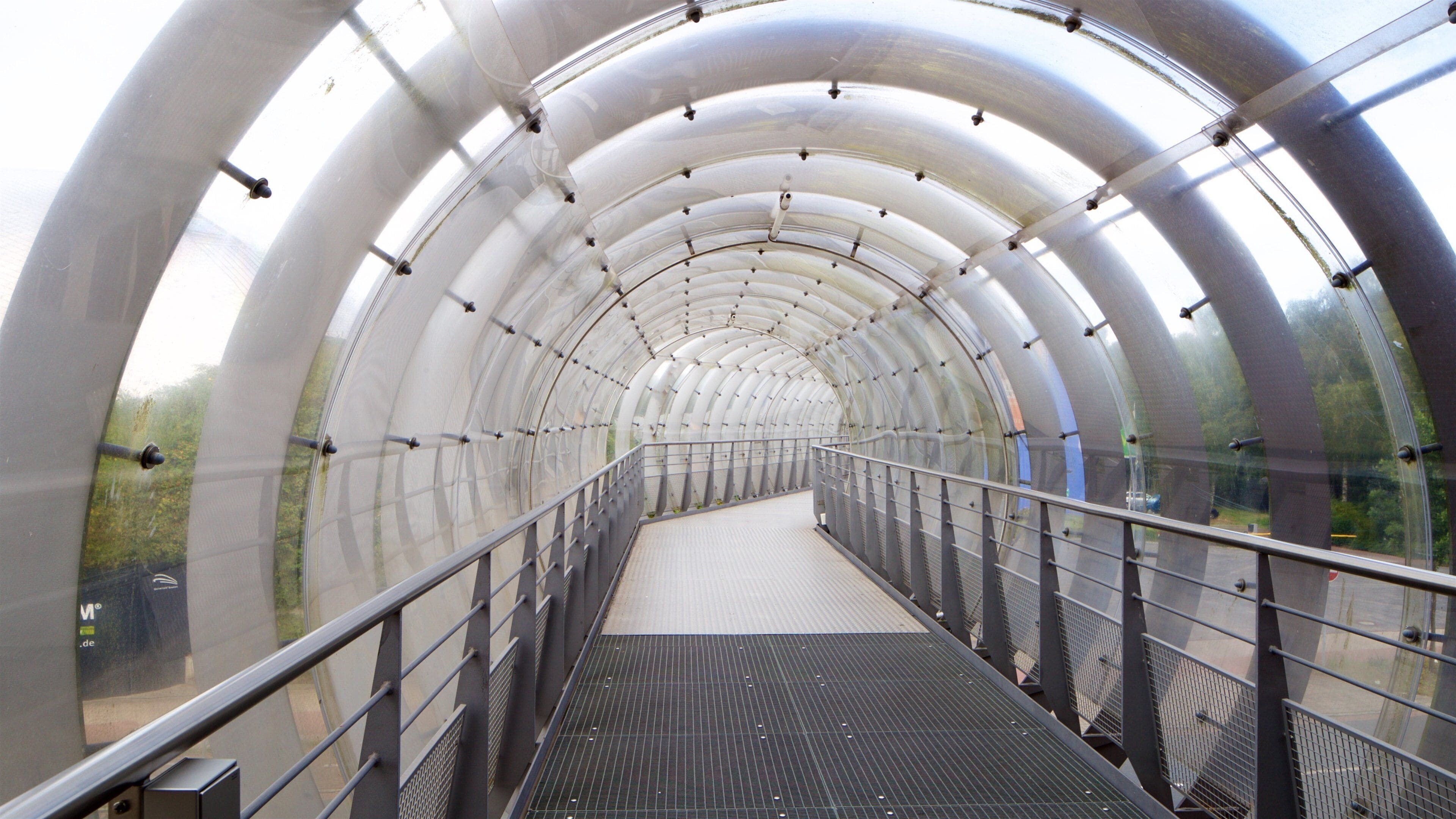 Universum Science Center presenterar en bro