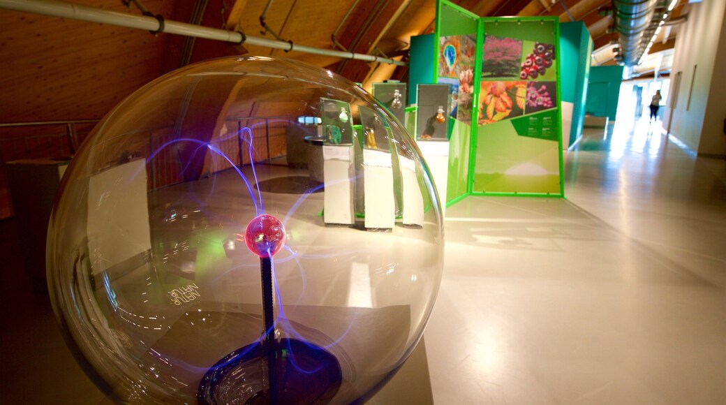 Universums center for videnskab som viser interiør