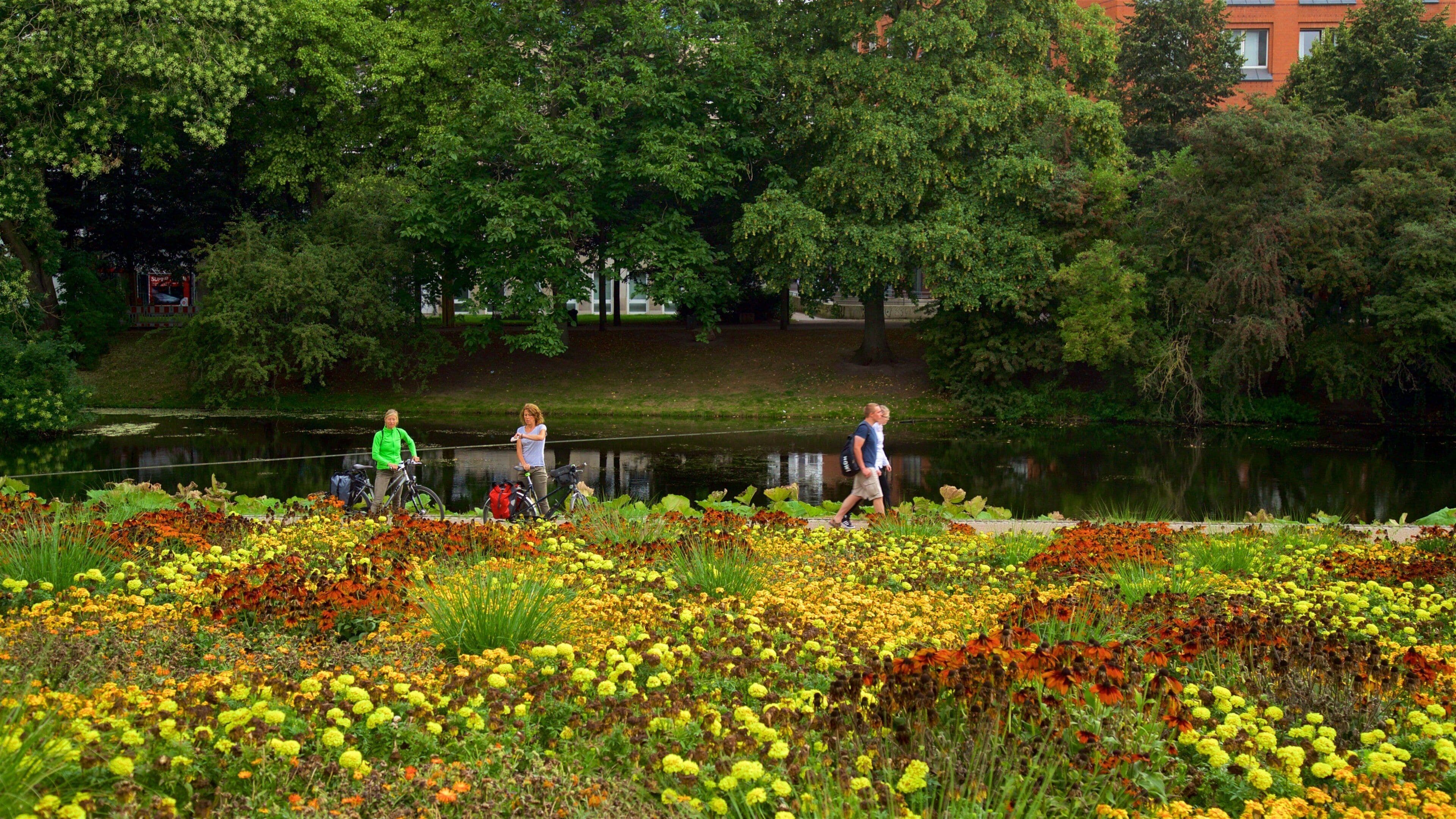 Am Wall Windmill showing a lake or waterhole, a park and wildflowers