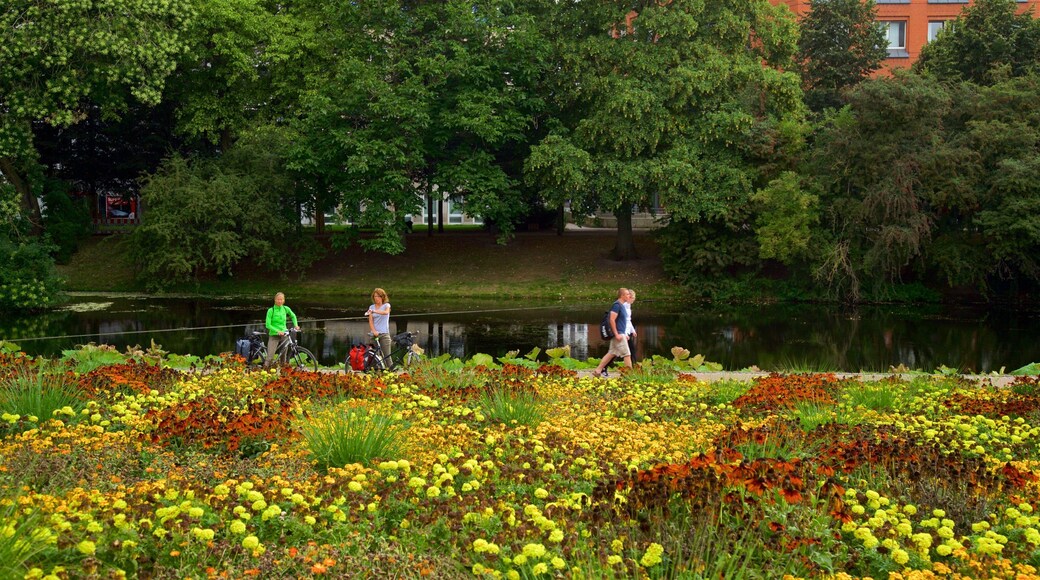 Am Wall Windmill showing a lake or waterhole, a park and wildflowers
