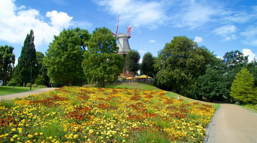 Am Wall featuring a park and wildflowers