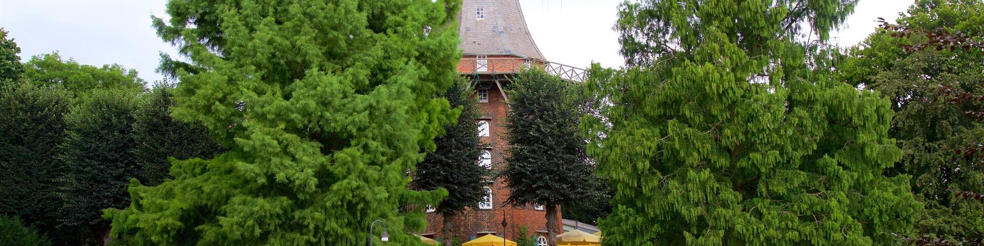 Am Wall showing a park, a windmill and wildflowers