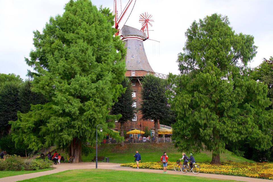 Een windmolen omringd door weelderige groene bomen en een park met wandelaars en fietsers.