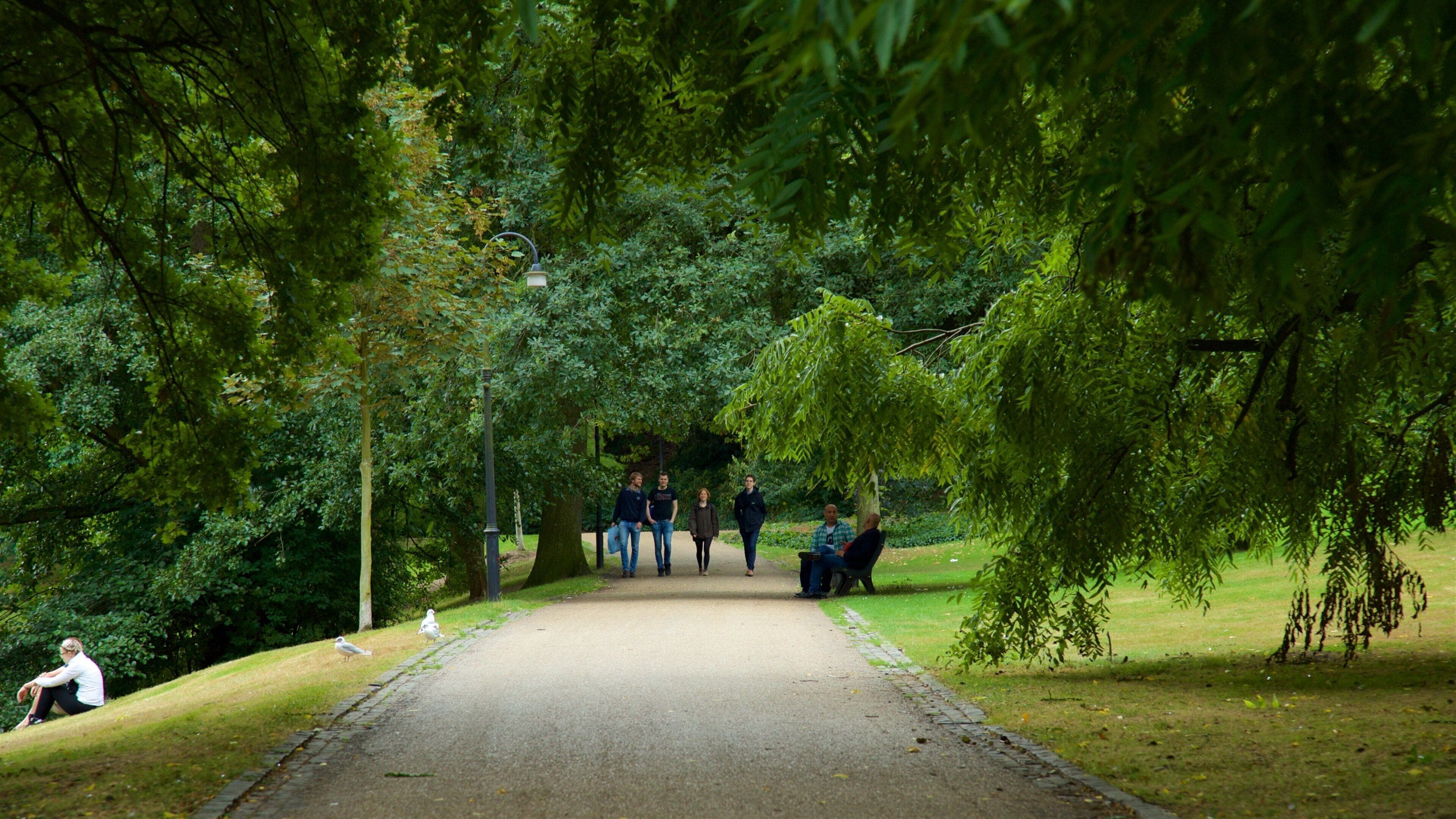 Am Wall showing a garden as well as a small group of people