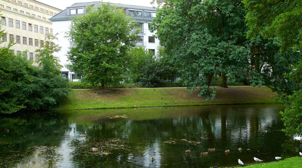 Am Wall which includes a lake or waterhole