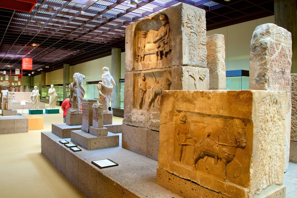 Ancient stone sculptures and inscriptions in a museum.