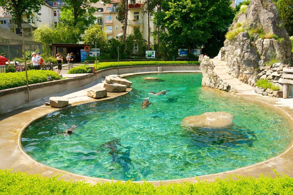 Piscina translúcida com nadadores, cercada por vegetação e edifícios.