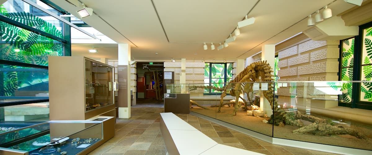 Lower Saxony State Museum which includes interior views