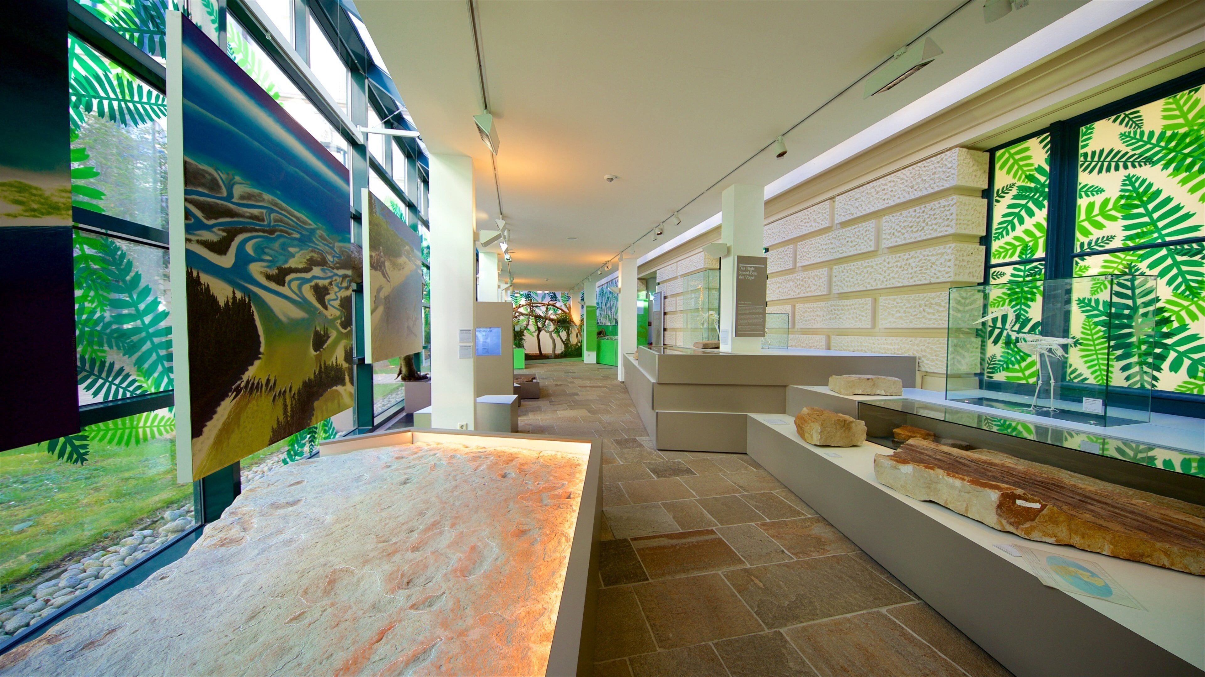 Museu Estadual da Baixa Saxônia que inclui vistas internas