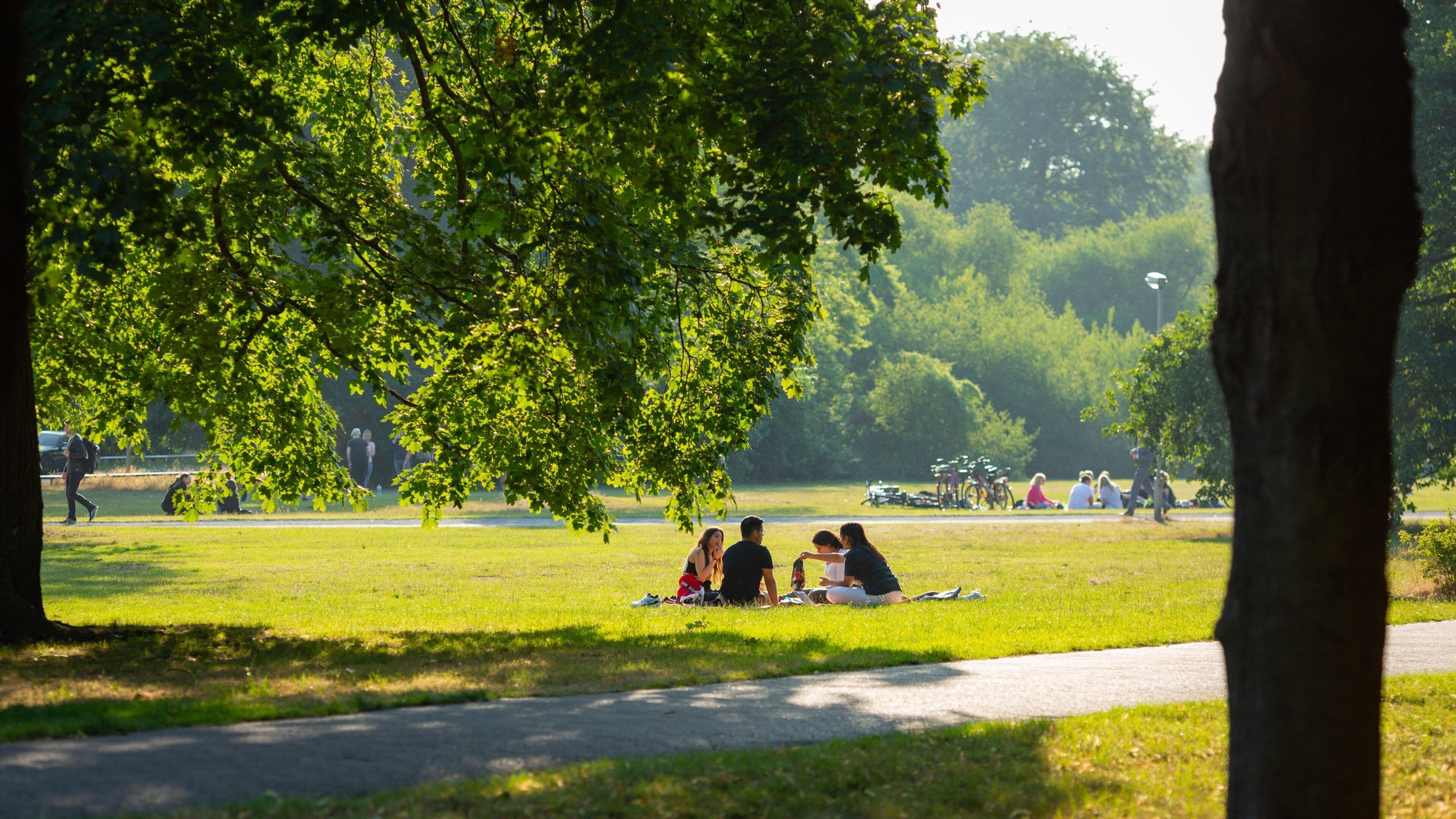 Georgengarten showing a park and picnicing as well as a small group of people