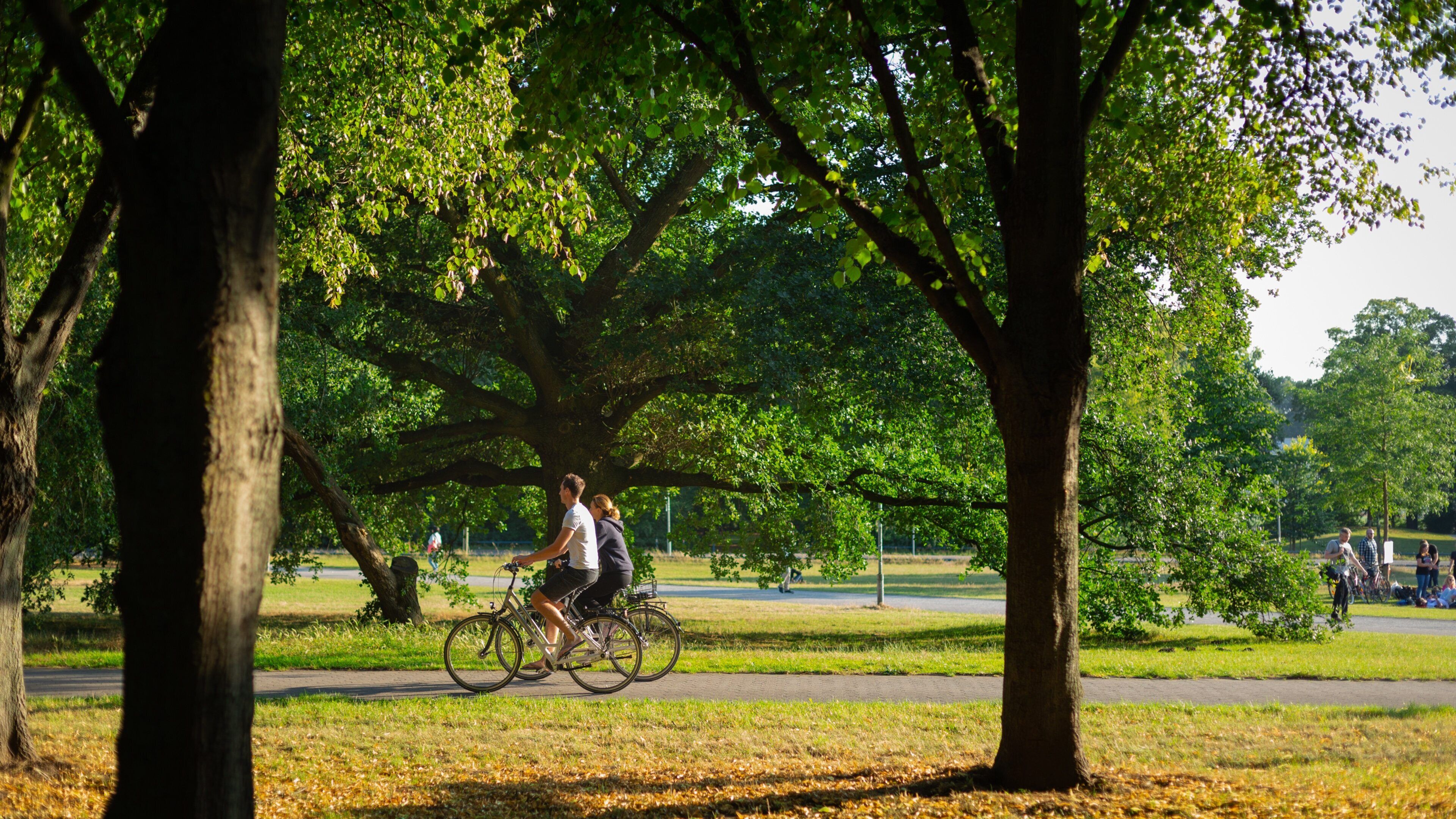 Georgengarten which includes a garden and cycling as well as a couple