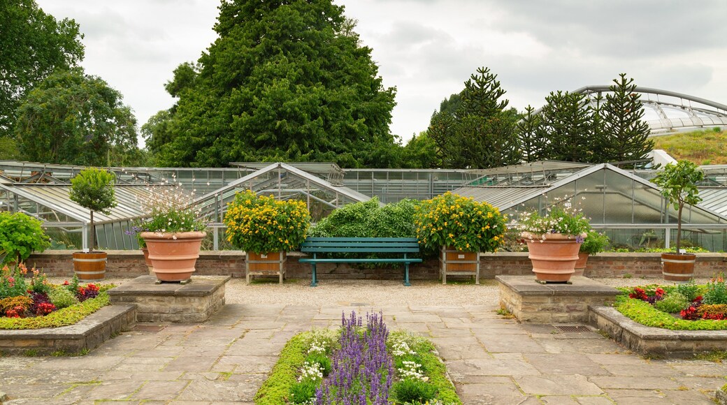 Berggarten which includes flowers and a park