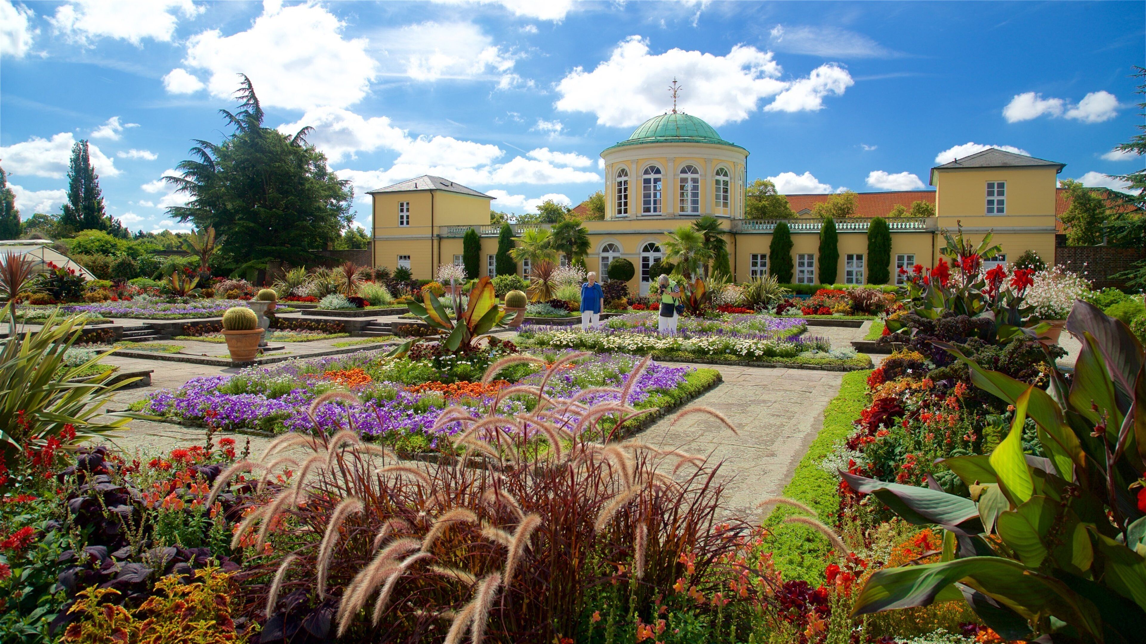 Berggarten som viser villblomster og park