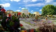 A garden with a yellow building, a green dome, and various plants.