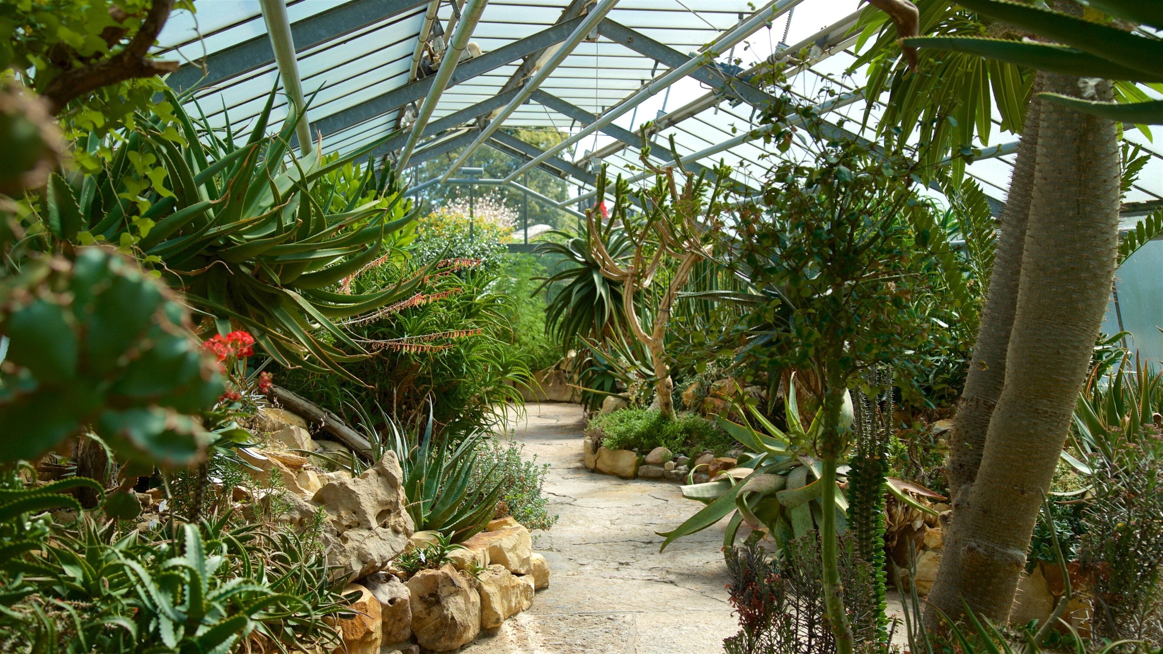 Berggarten que incluye vistas interiores y un parque