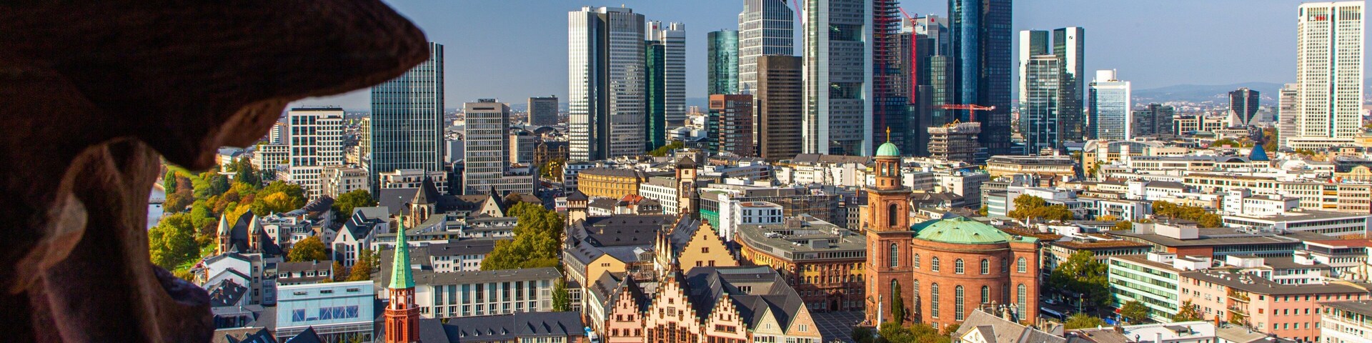 Frankfurt Cathedral which includes landscape views and a city