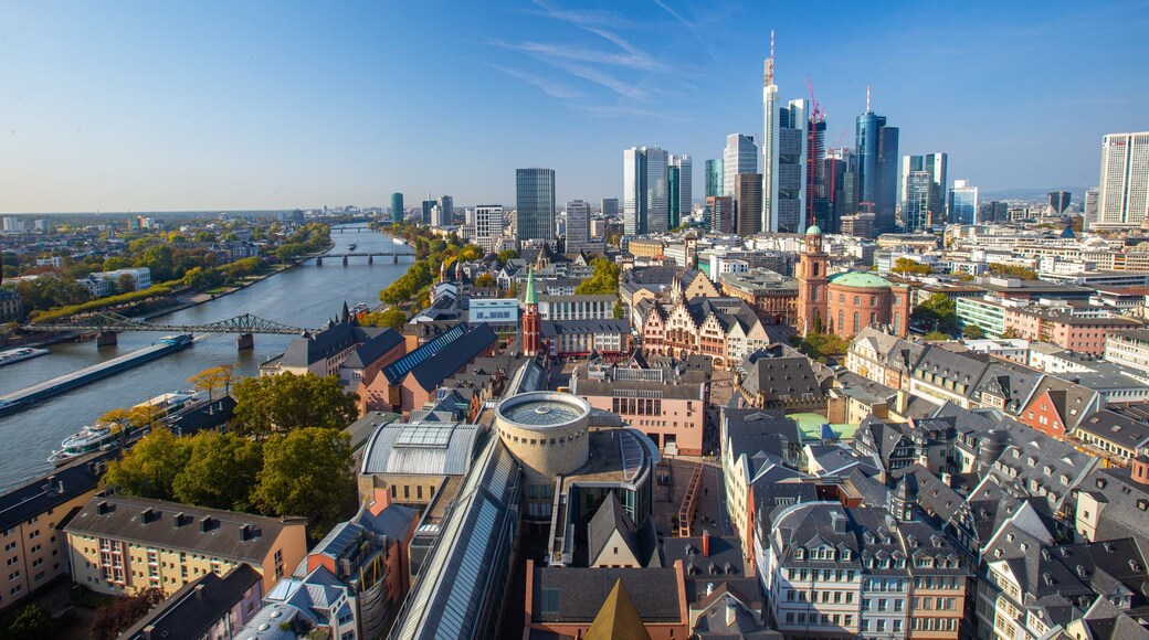 Frankfurt Cathedral showing landscape views and a city