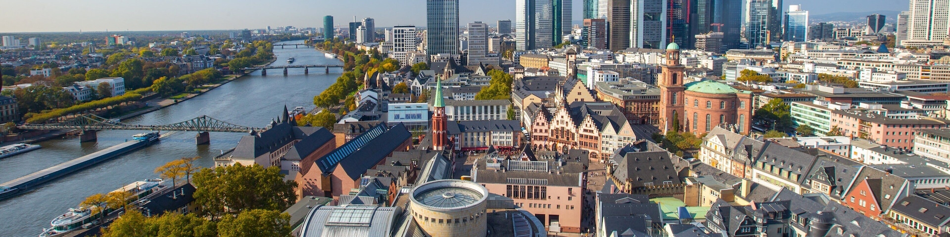 Frankfurt Cathedral showing landscape views and a city