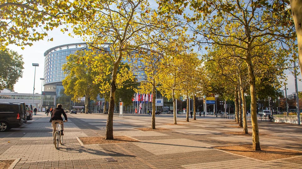 Congress Center Messe Frankfurt which includes road cycling, a sunset and a square or plaza