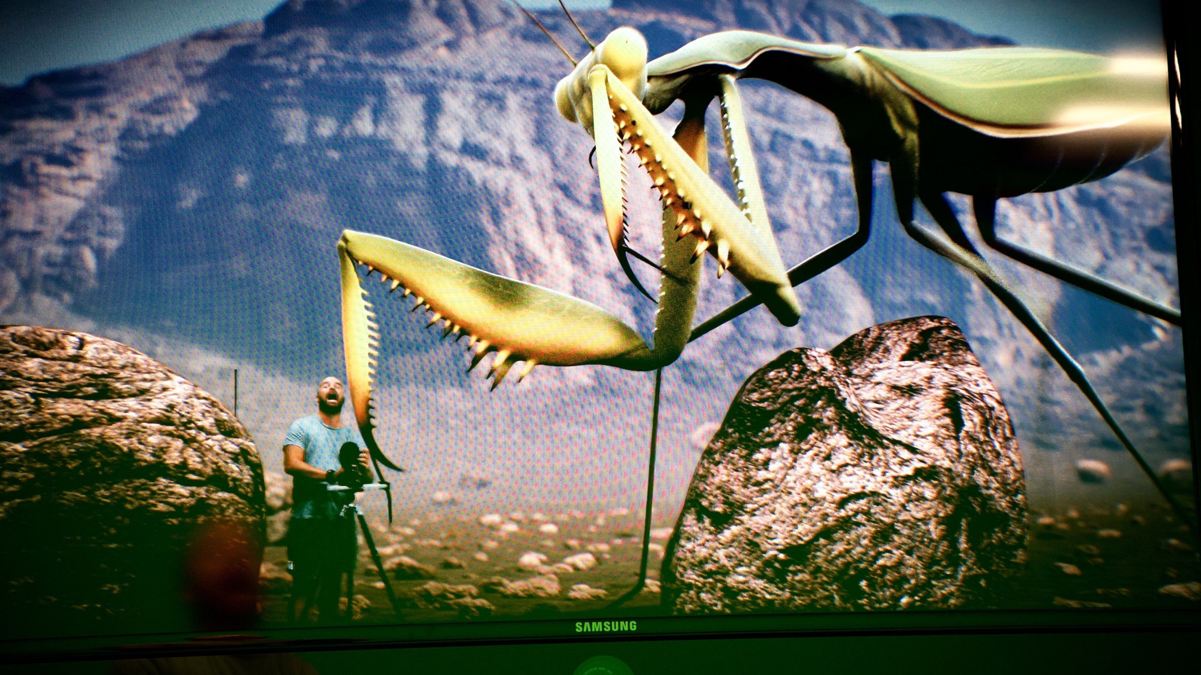 German Film Museum which includes interior views