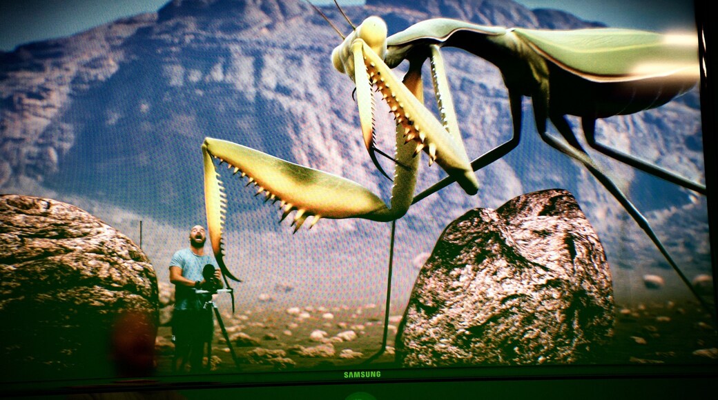 German Film Museum which includes interior views