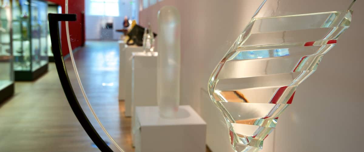 Museum Kunstpalast welches beinhaltet Innenansichten