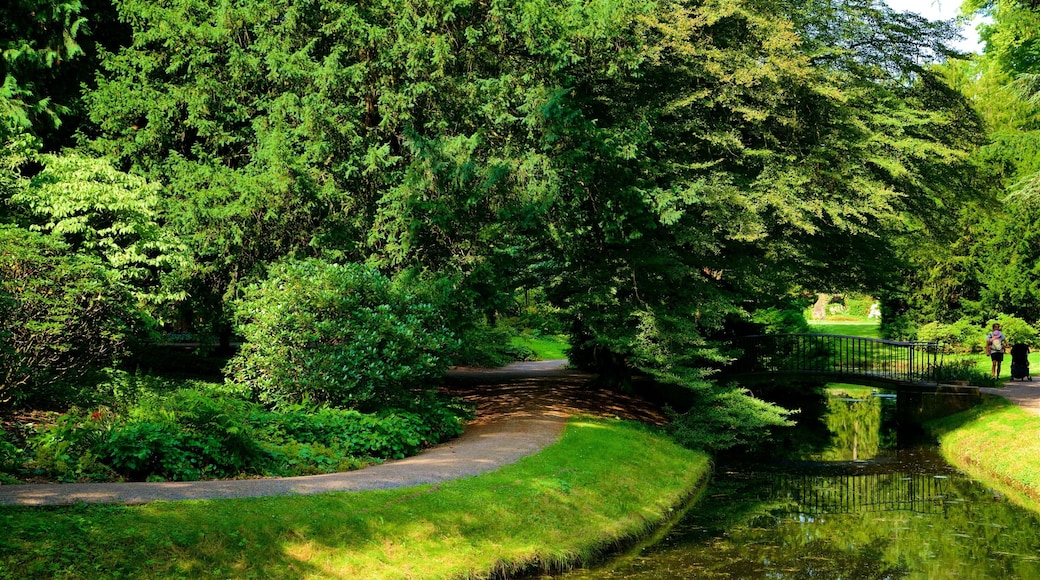Benrath Palace which includes a park and a pond