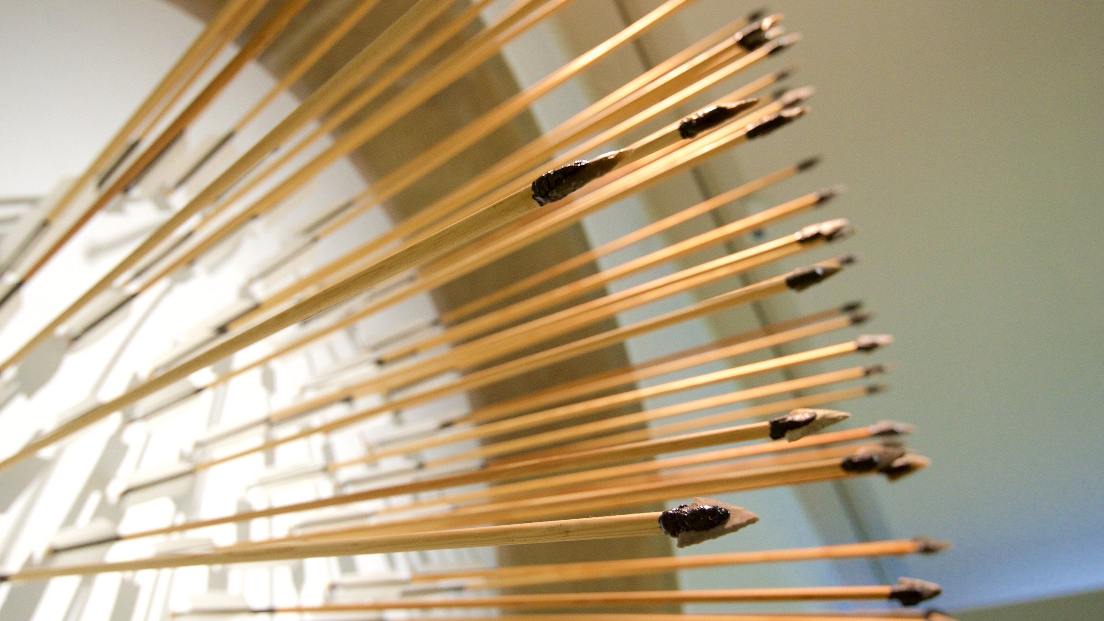 Wurttembergisches Landesmuseum som inkluderer innendørs