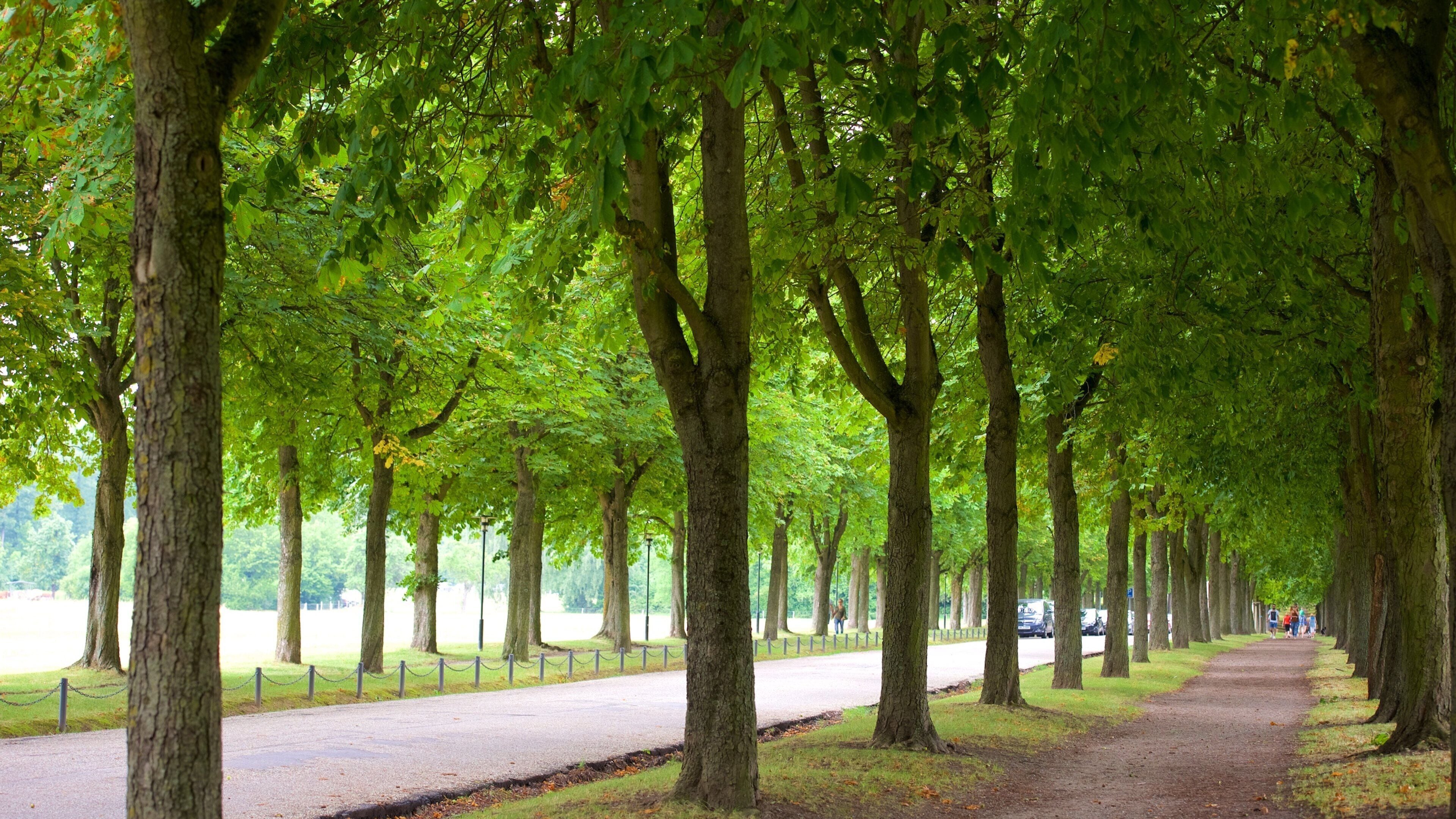 Schillerplatz som viser park