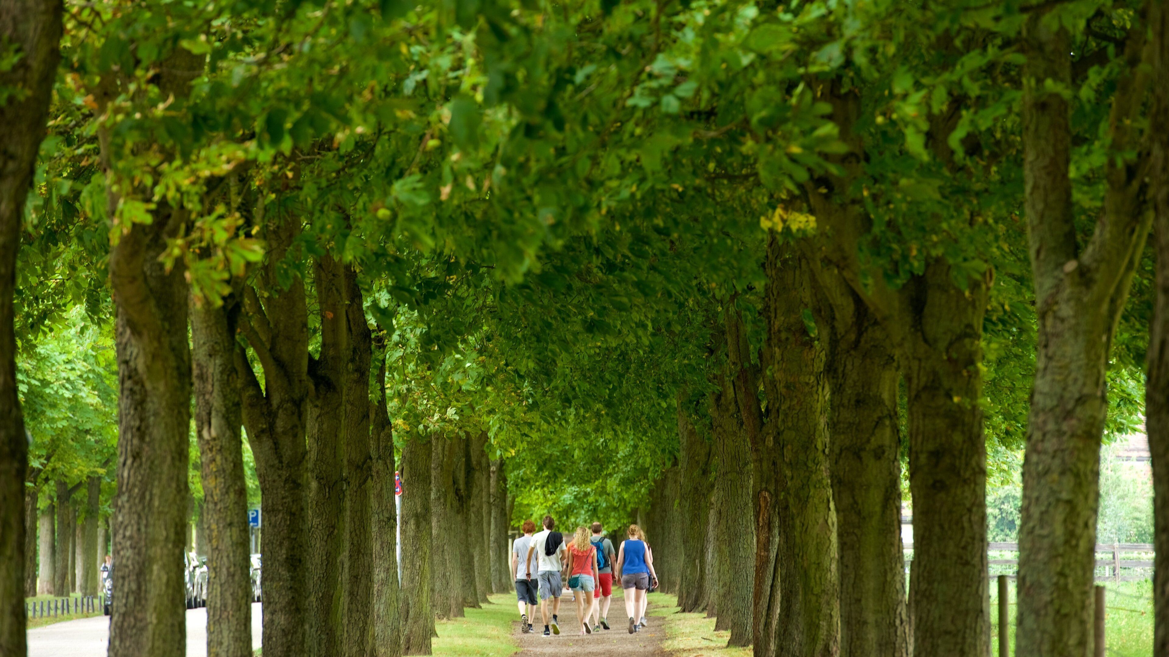 Schillerplatz showing a park as well as a small group of people