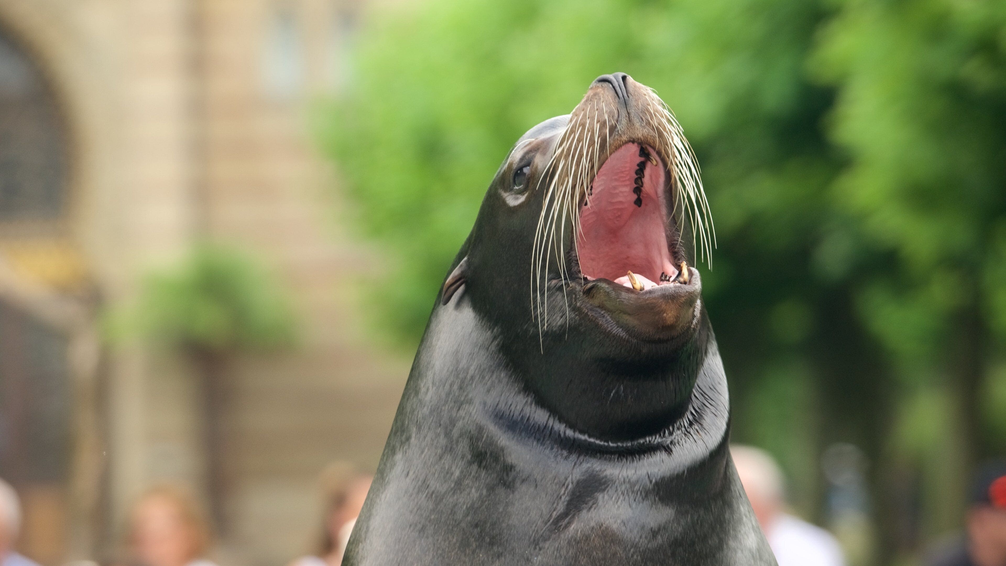 Wilhelma Zoo which includes marine life and zoo animals