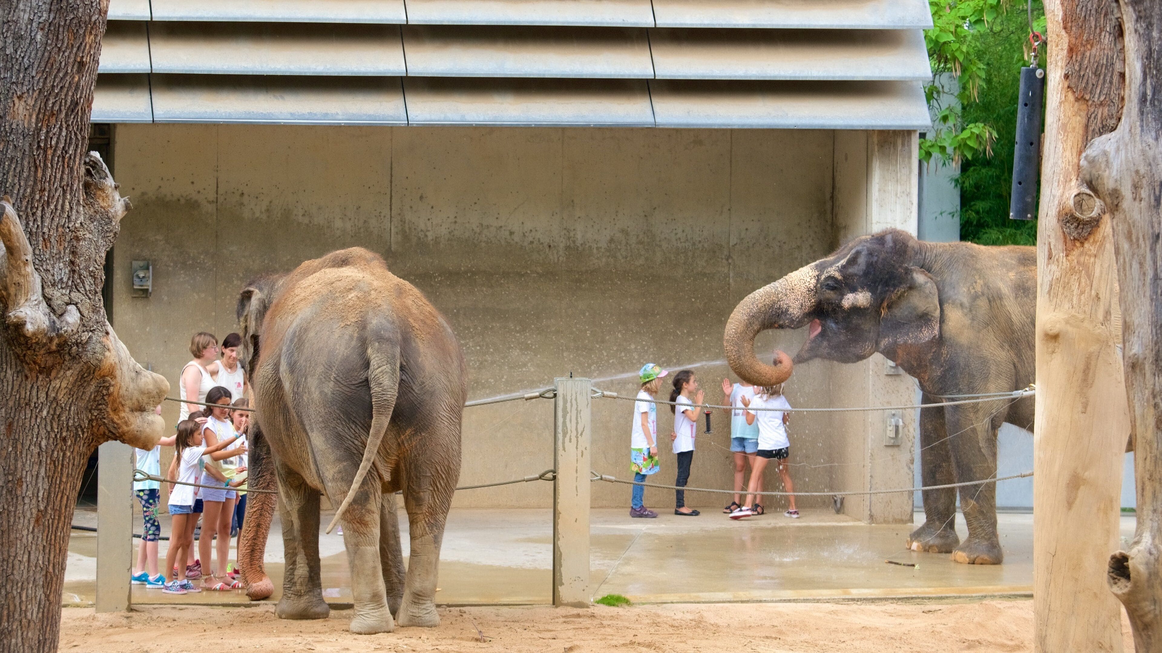 Wilhelma Zoo which includes zoo animals and land animals as well as a large group of people