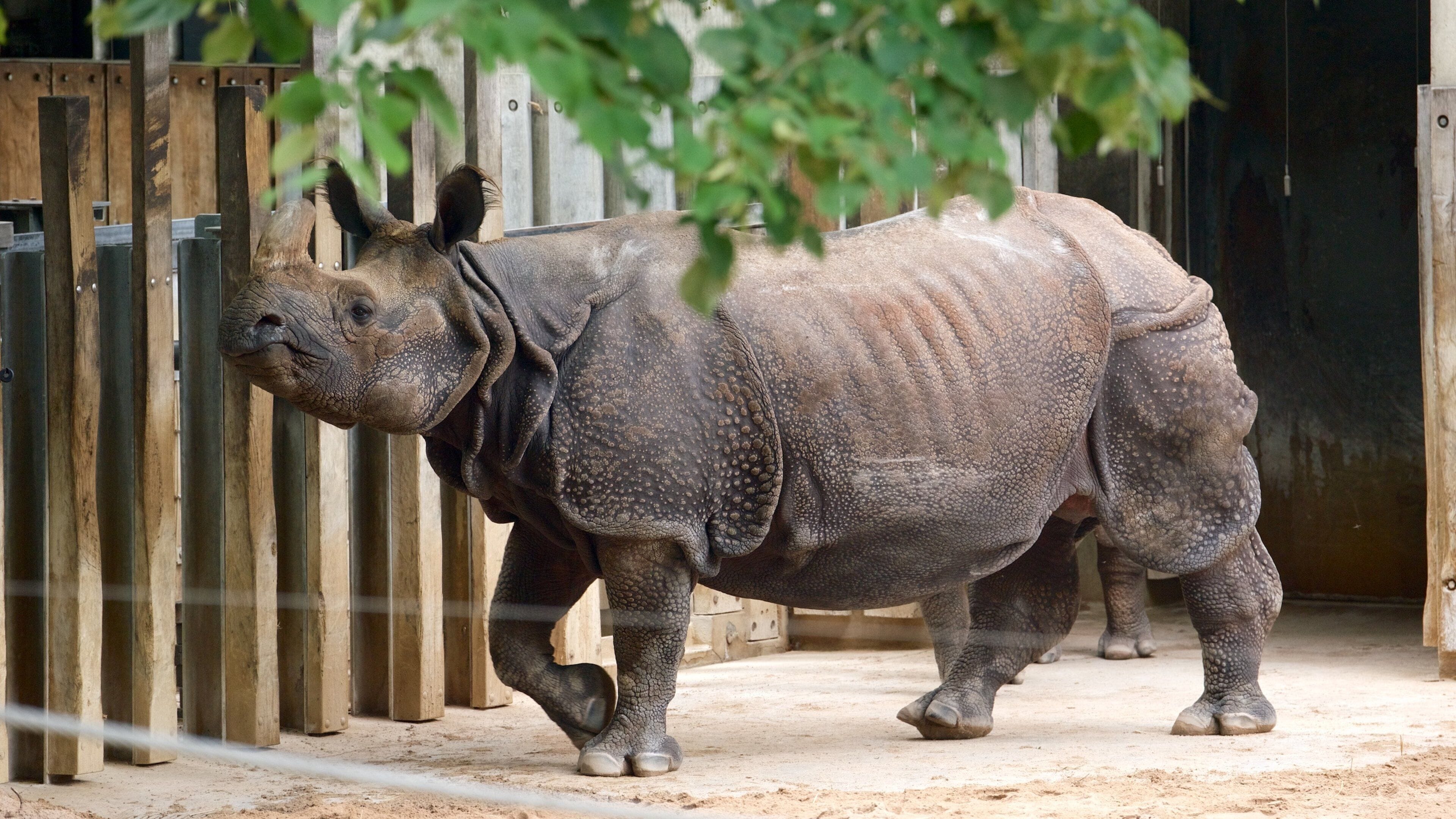 Wilhelma Zoo which includes land animals and zoo animals