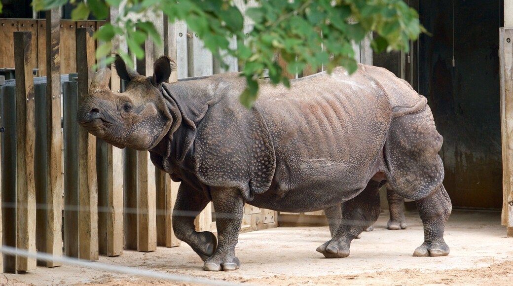 Wilhelma Zoo which includes land animals and zoo animals